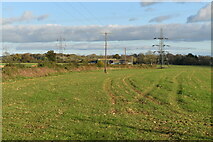 SU6714 : Field edge beside lane opposite Denmead Mill by David Martin