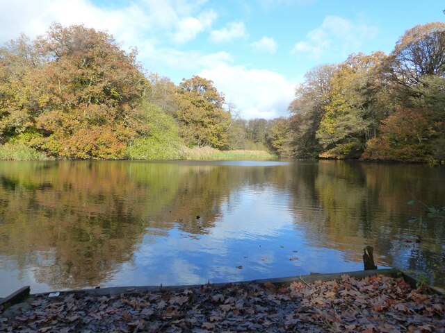 The lower and larger pond, Cannop Ponds, Forest of Dean
