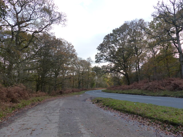 Lay-by and bend in the road (B4234), south of Cannop Ponds, Forest of Dean