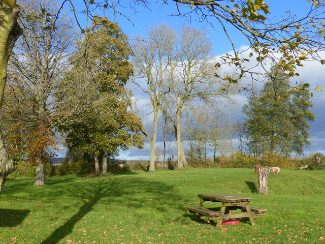 Autumn sunshine at Woolaston picnic site, Woolaston, Gloucestershire