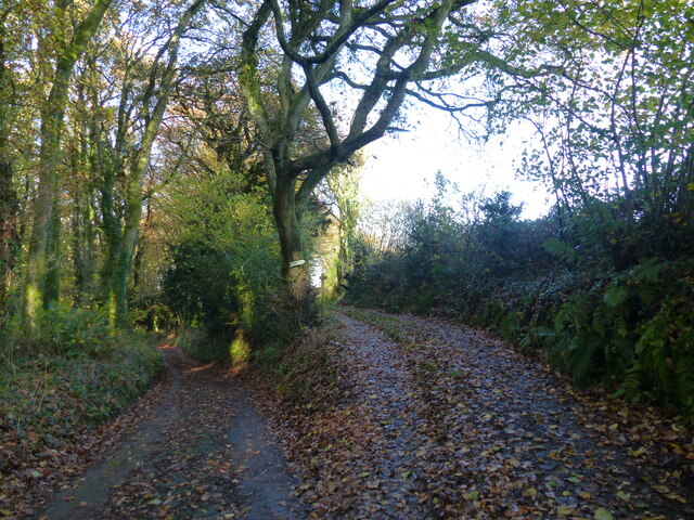 Junction of a track with Penterry Lane, near Chapel Hill, Tintern