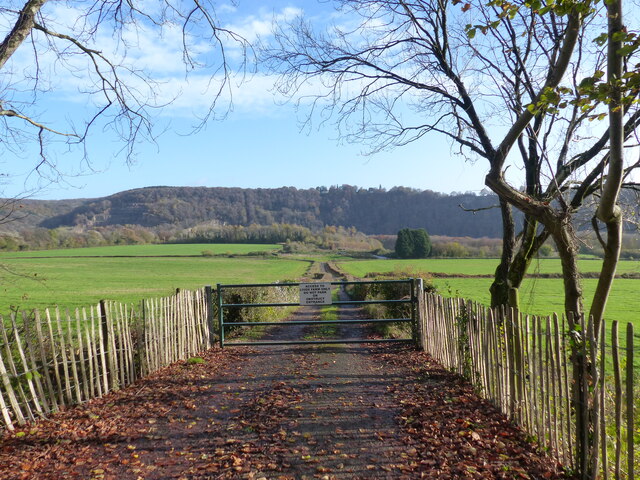 Farm access track and gate, between Tintern and St Arvans