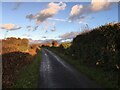 Minor road near Durley Dene