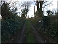 Farm road to Bryn Tirion