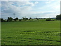 Farmland north of Ashcroft Lane