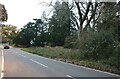 Gravel Path, Berkhamsted