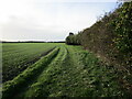 Footpath to RAF Digby