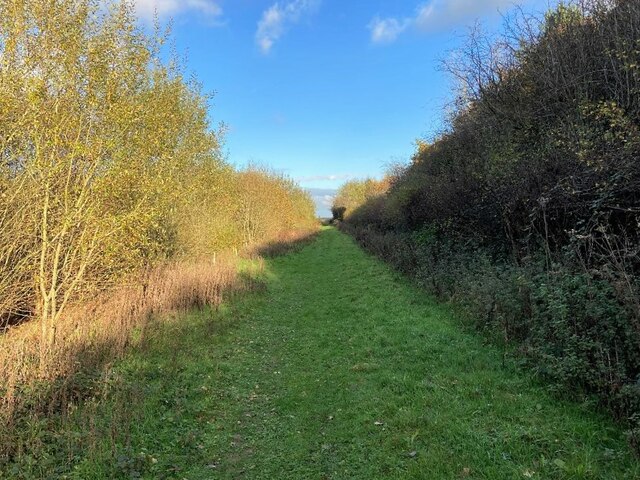 Woodland Path near Tatenhill