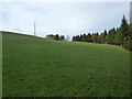 Bodenham Arboretum - Barn Field