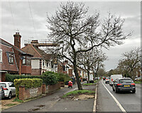TL4757 : Grey day in the suburbs by John Sutton