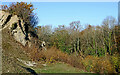 SO9392 : Rock face and woodland near Dudley, West Midlands by Roger  D Kidd