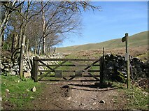NY2635 : Gate at Longlands by Adrian Taylor