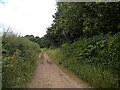 Public footpath west of Shirebrook (1)