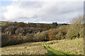 Grassed road descending towards Hisehope Burn