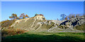 Limestone reef mounds on Wren