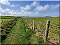 SH2985 : Anglesey Coastal Path towards Porth Tywyn-mawr by Mat Fascione