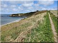 SH2985 : Anglesey Coastal Path at Porth Tywyn-mawr by Mat Fascione