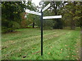 Signpost in Windsor Great Park