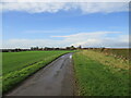 Walking  along  Out  Gates  toward  Harpham