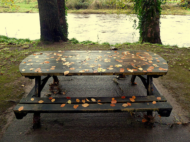 Leaf covered table and seat, Cranny