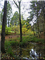 Bodenham Arboretum - Five Pools Walk