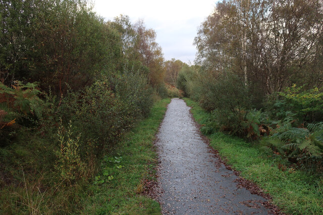 the cyclepath