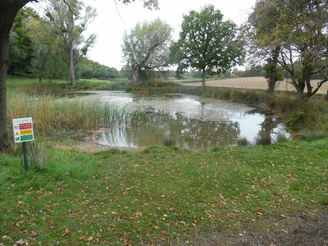 Ox Pond in Windsor Great Park