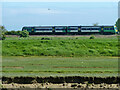 Train on an Eastbourne - Ashford service