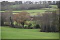 Whitehouse Gill valley