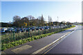 Cars parked on the site