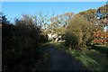 Bridleway heading towards the Redwing Estate