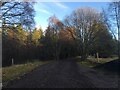 Minor road near Tomatin