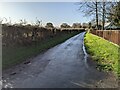 SO5359 : Lane at Hamnish Clifford by Fabian Musto