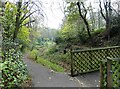 NZ3669 : Path in Northumberland Park by Robert Graham