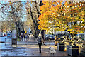 Colour on the Promenade