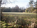 Field near Corbet Tower