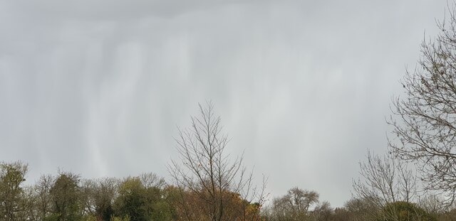 Approaching Rain in Oakwood Park
