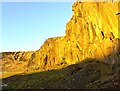 Low winter sun on Ewesley quarry wall