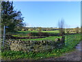 Farm entrance and footpath, near Blakeney, Gloucestershire