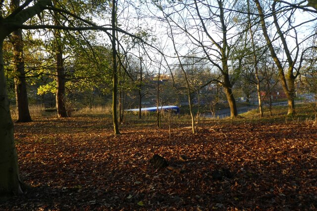 Woods above University Road © DS Pugh cc-by-sa/2.0 :: Geograph Britain ...