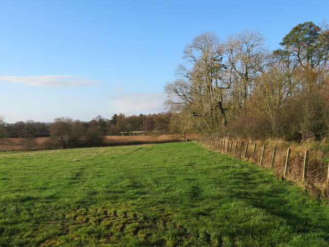 Pasture near Legerwood