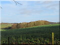 The valley of the Legerwood Burn