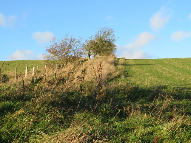 Grass fields near Bassendean
