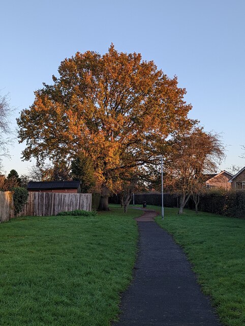 late-afternoon-sun-bob-harvey-cc-by-sa-2-0-geograph-britain-and