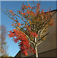 Rowan, Pendennis Road, Torquay