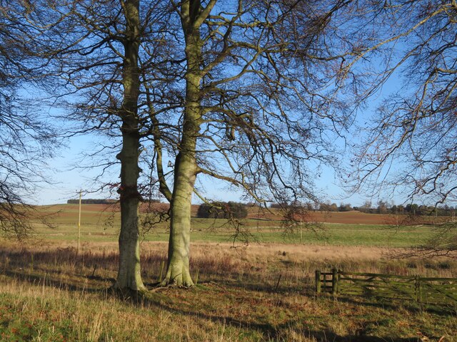 Farmland near Greenknowe, west of Gordon