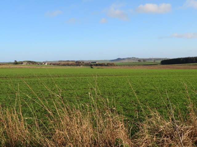 Farmland at Gordon