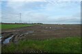 Fields north of Moor Lane