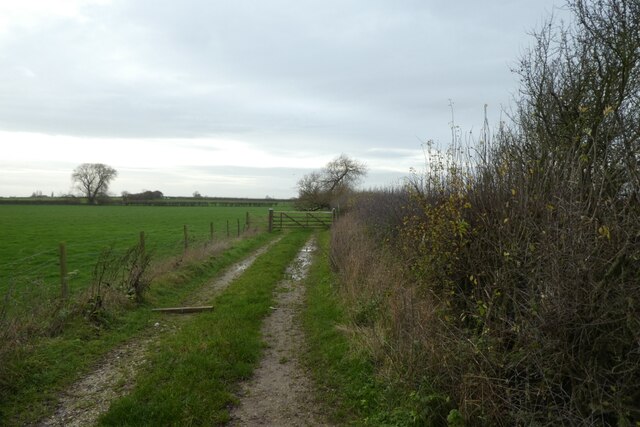 Farm Track Off Kirklands Lane DS Pugh Cc By Sa 2 0 Geograph   7351194 D01c7ad5 