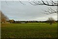 Field beside Eastfield House Farm